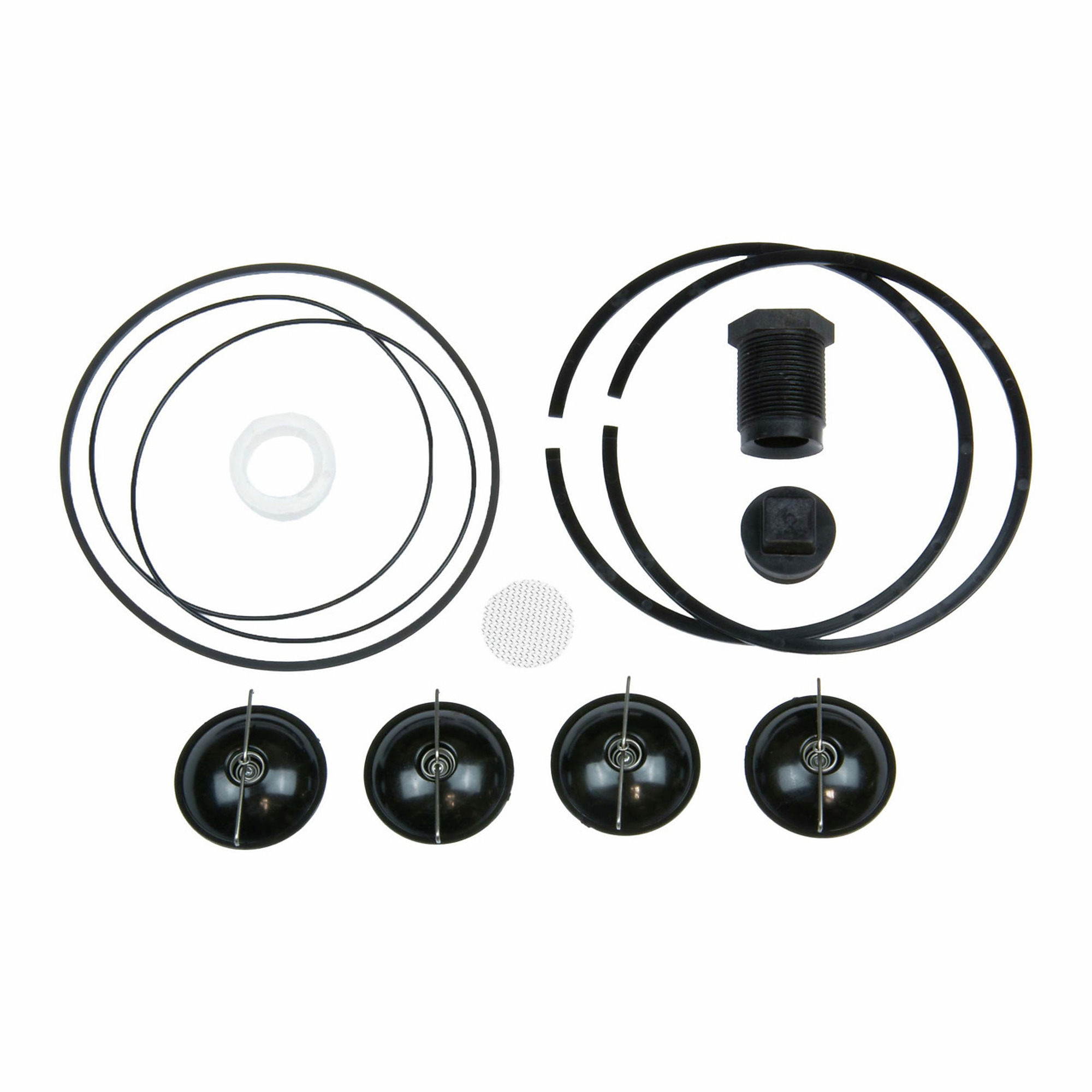Fill-Rite Rebuild Kit for 5200 Series Hand Pump, Model# 5200KTF1828